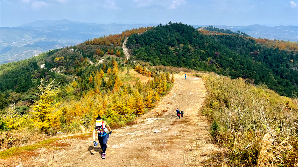 疾速追山·华盖山｜驰骋余姚山野间，遥望四明山脉