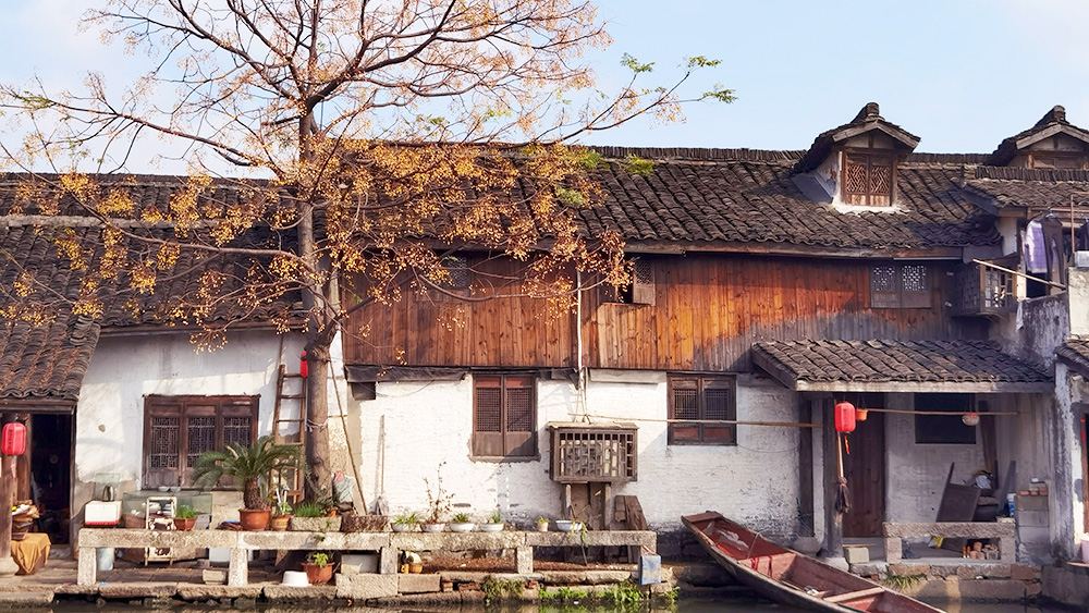 【山野旅行家·上青古道】绍兴安昌古镇，原汁原味江南水乡，小红书网红黄酒+咖啡、酒酿馒头，年味十足烟火气，安昌腊肠酱鸭，上青古道精华段，日铸岭万寿山水库1日徒步穿越