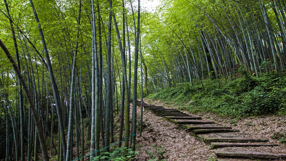 【疾速追山·西湖好运兔】兔年登高特辑, 齐聚西湖,“大展宏兔”迎接2023自由年~,精心配备特殊宏‘’兔‘’徽章多处路段可下撤(线路体能要求高,请备注户外经历)