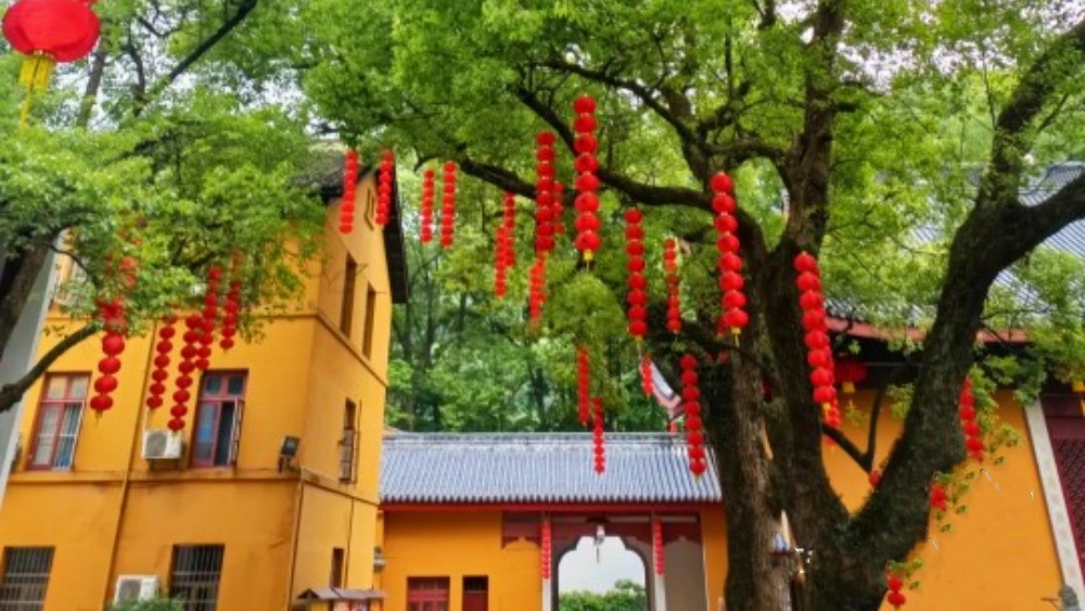 【疾速追山·西湖好运兔】兔年登高特辑, 齐聚西湖,“大展宏兔”迎接2023自由年~,精心配备特殊宏‘’兔‘’徽章多处路段可下撤(线路体能要求高,请备注户外经历)