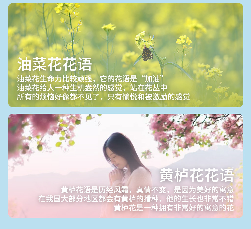 春天花事·五盆沟，小众路线，赏花徒步，1日 - 京郊赏花 | 超小众赏花线路，轻装徒步，走进人间仙境五盆沟，感受春天中的春天，赏桃花瀑布