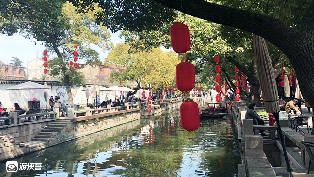 亲子·鼋头渚樱花丨三月奇遇双花,万株樱花片成海
