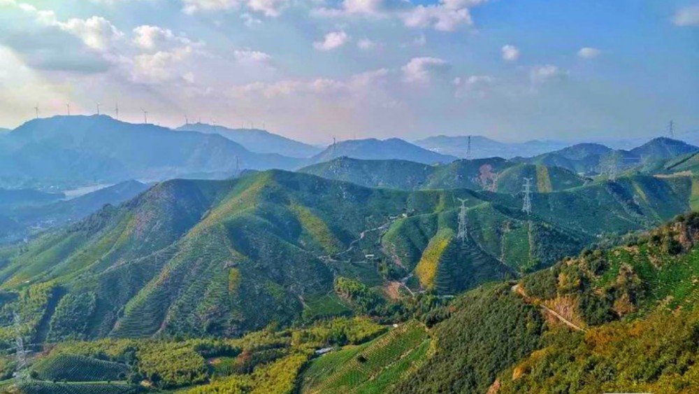 西塞梅香·陆羽古道|西塞山赏梅海,陆羽古道迎春来