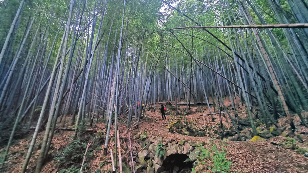疾速追山·天童九峰｜重走‘东南佛国’天童寺礼佛！