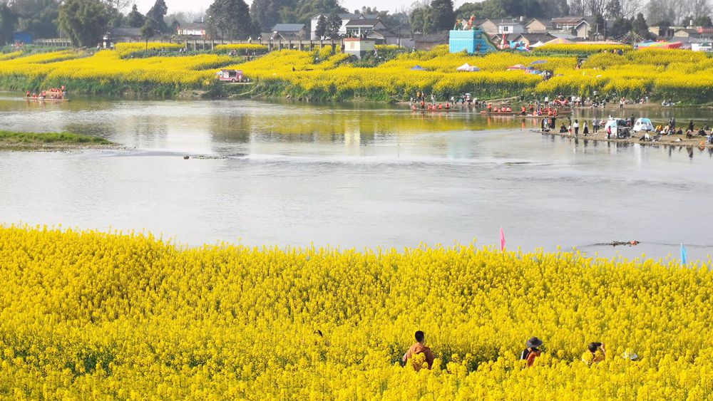 春天花事·邛崃小江南 西来古镇访古,两河村踏青