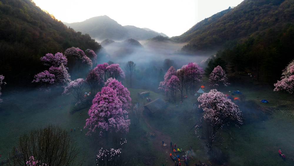 秘境花海·吴家后山 入住花海民居 2日赏花之旅