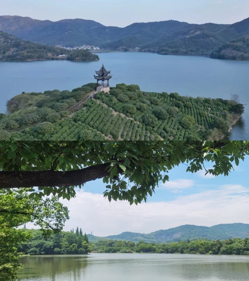 亲子·山水慈溪丨探浙里小长安，采摘杨梅，轻徒长溪