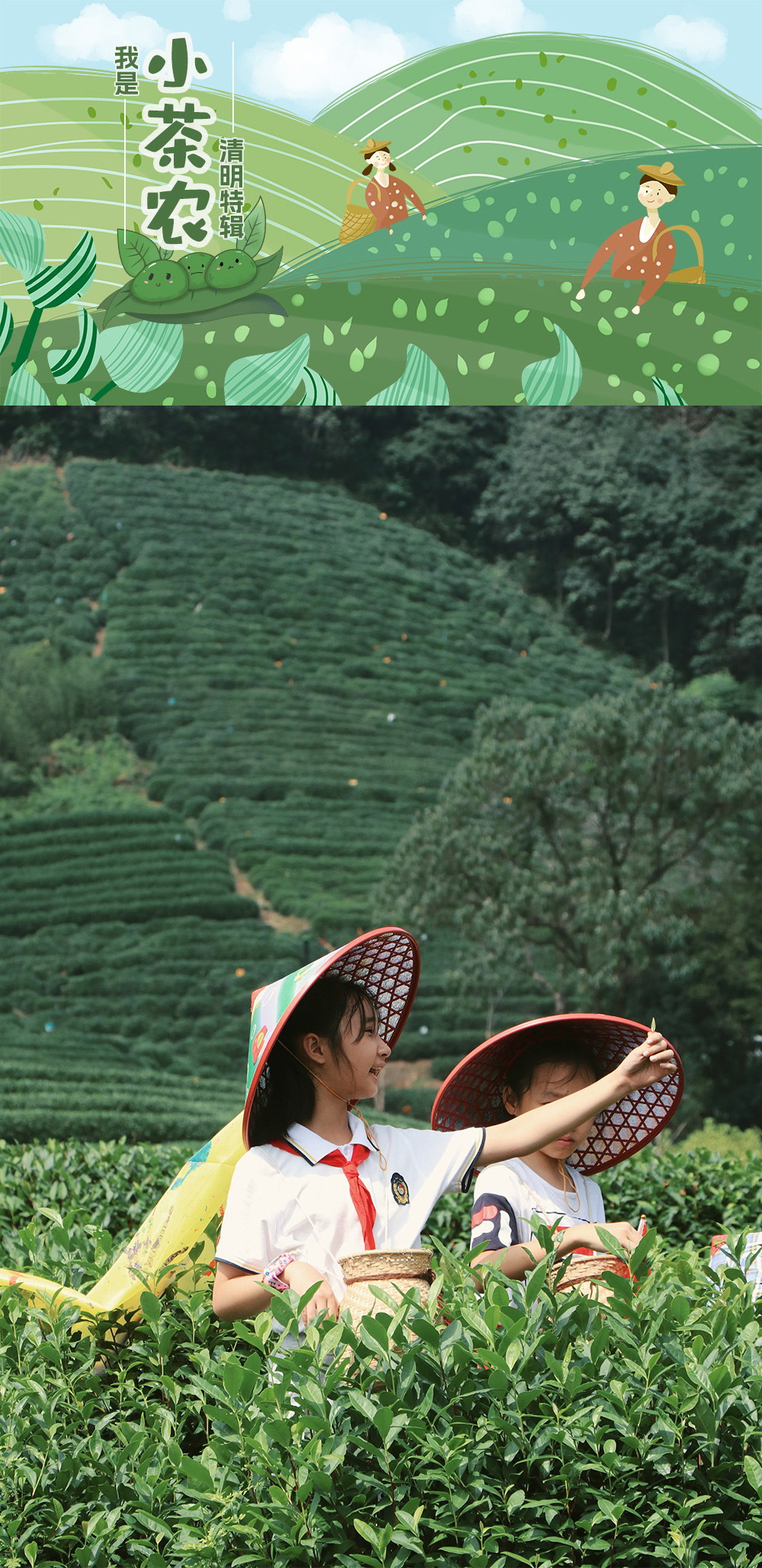 亲子·小小茶农，把春天带回家（1天） - 置身茶海 | 看春景采春茶 | 茶山徒步 | 采摘茶叶 | 炒制春茶 | 制作艾茶馒头 | 宋代点茶 | 茶叶小课堂