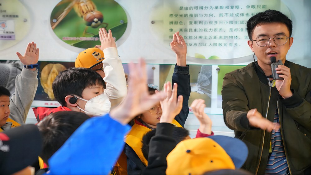 游侠研学·昆虫博物馆|揭秘昆虫适应环境的生存智慧