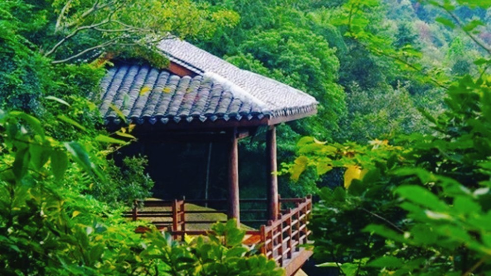 山水鸣鹤·五磊寻源丨亲水漫徒、漫游青山,览五磊寺