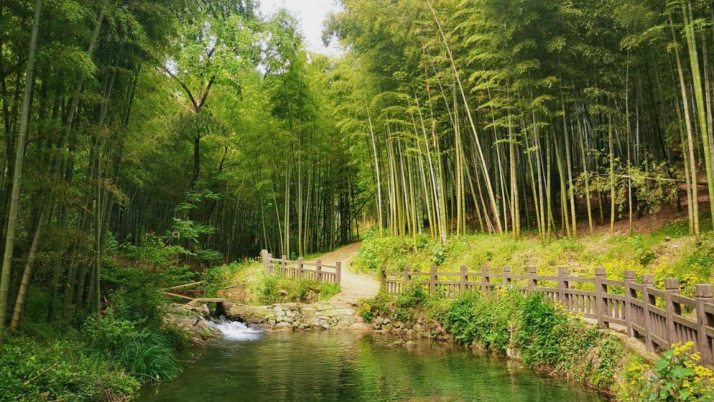 山水鸣鹤·五磊寻源丨亲水漫徒、漫游青山，览五磊寺