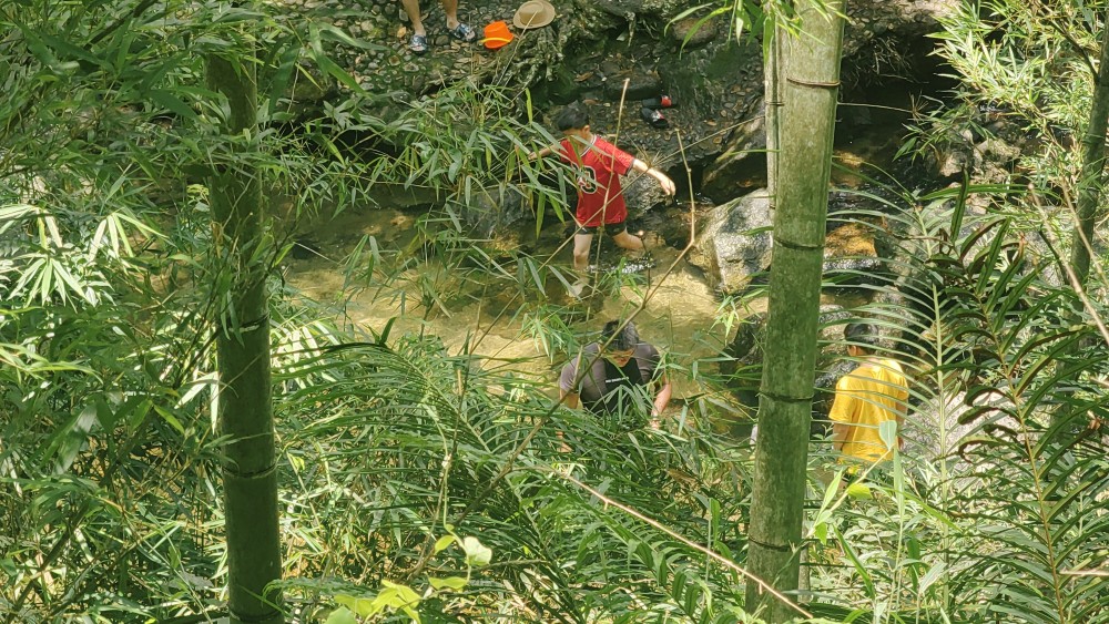 惠州玩水丨南昆山之溯溪、泡潭，品地道农家乐一日游