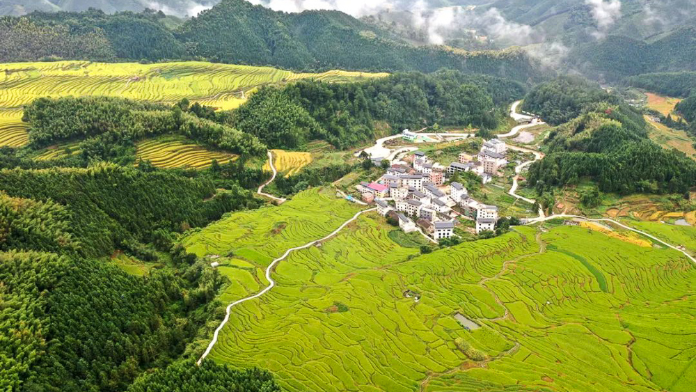 清远梯田2日丨星空萤火 梯田穿越,壮瑶乡村深度游