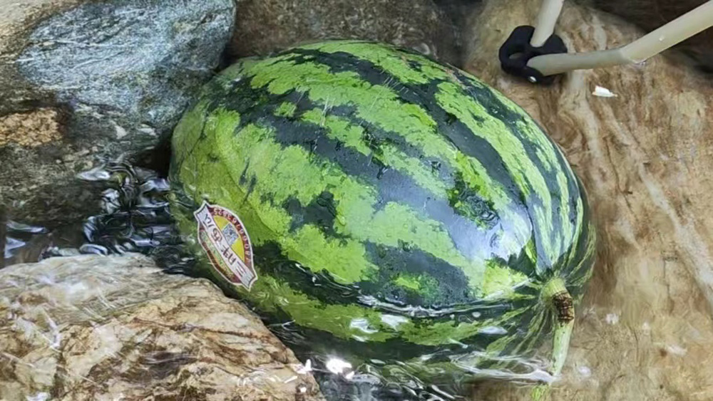 亲子·金岩沟溯溪·徒步陕西九寨沟，走进天然氧吧
