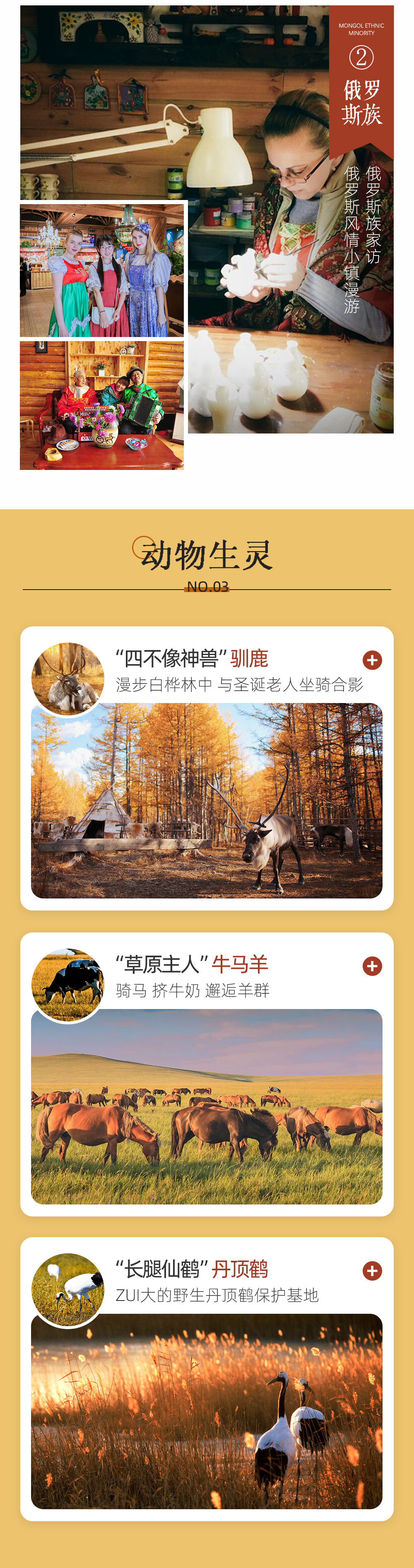 呼伦贝尔秋色7日丨内蒙赏秋首推 从阿尔山到大草原 - 2024全新升级丨呼伦贝尔草原+阿尔山+满洲里丨蘑阿公路丨小众秘境（诺干湖）丨马背骑行丨俄罗斯族家访丨多地解散更方便