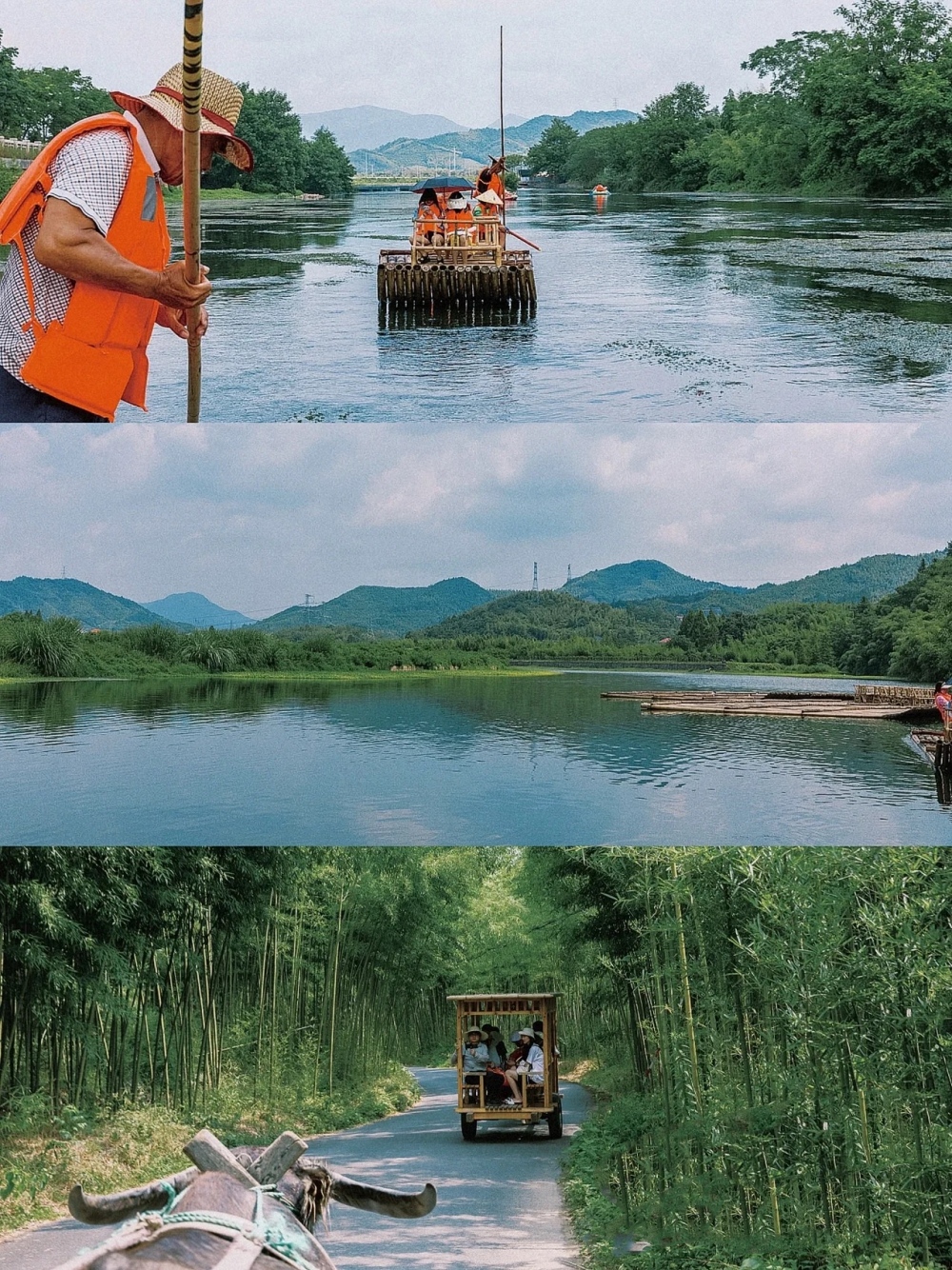 亲子·趣玩德清 | 酷玩飞车湿地寻鸟，竹筏山野奇趣多
