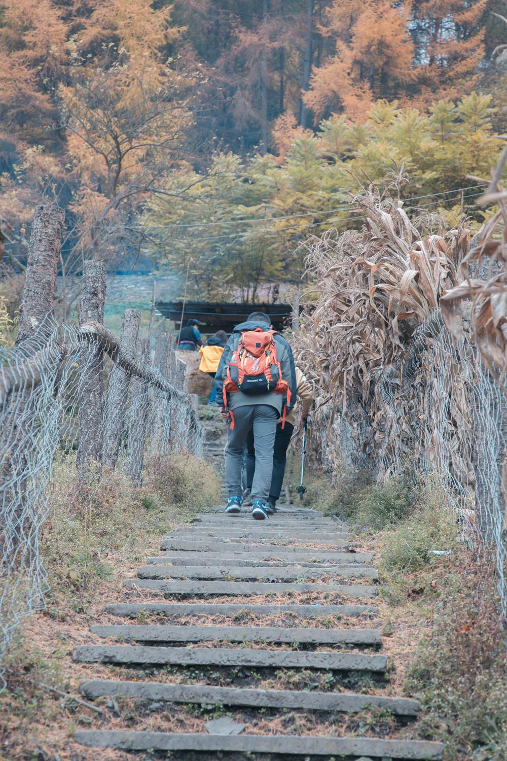 登峰造极·云中岭 | 5-10公里AB线 强度可选