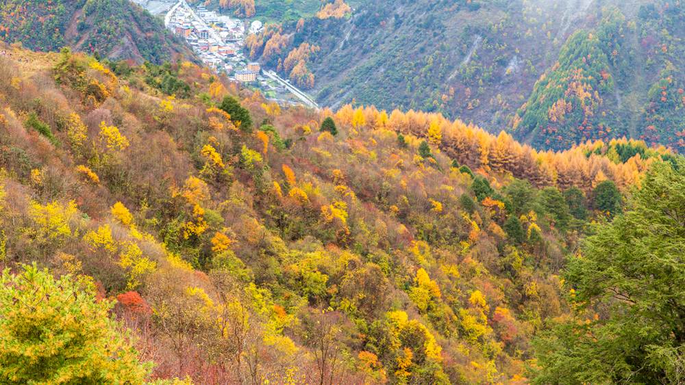 登峰造极·云中岭 | 5-10公里AB线 强度可选