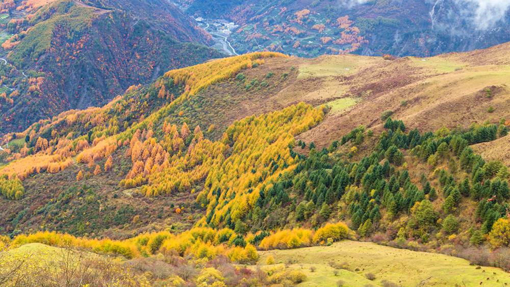 登峰造极·云中岭 | 5-10公里AB线 强度可选
