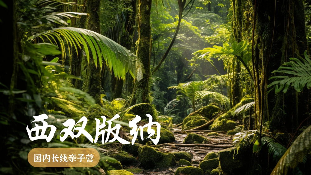 游侠研学·国内长线预约卡|99抵600,仅限4天