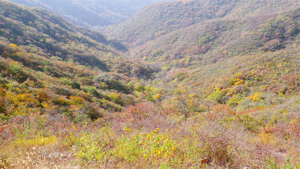 【无痕山野 · 三界碑】10.28周六,游侠客xLafuma合作,轻徒三省交汇长城赏秋,守护城市绿肺净化山林,长城净山1日活动!