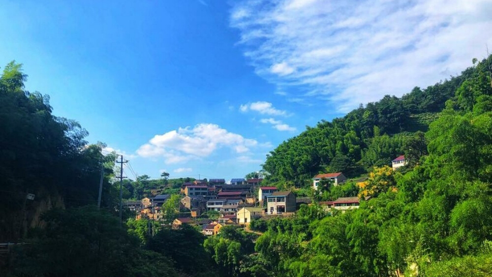 浙中武功山·孙家岭古道,11.18周六