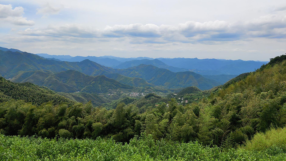 浙中武功山·孙家岭古道,11.18周六