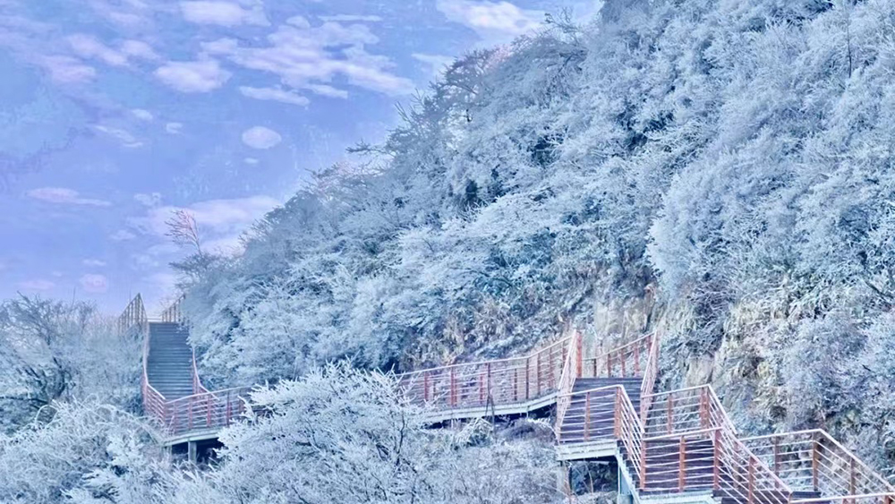 冰雪·鸬鸟山丨预报降水降温，雪景雾凇概率大增！