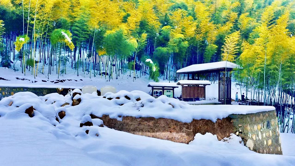 冰雪·鸬鸟山丨预报降水降温，雪景雾凇概率大增！