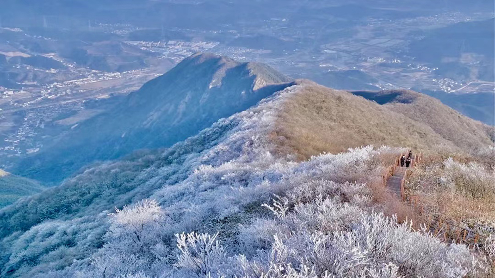 冰雪·鸬鸟山丨预报降水降温，雪景雾凇概率大增！