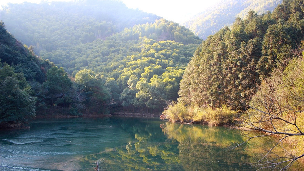 径山·祈福 | 竹林古道蜿蜒，寺庙钟声悠扬 