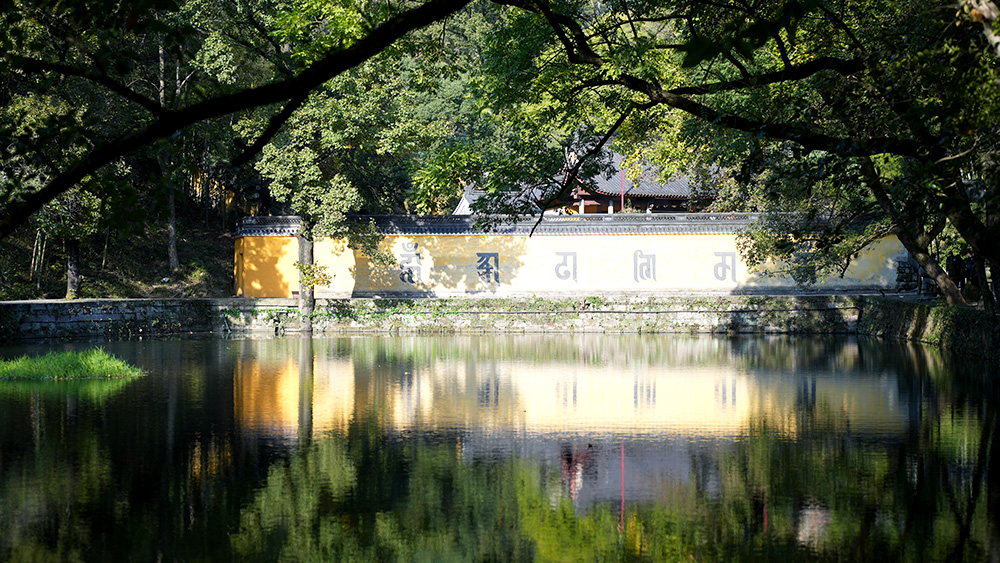 新兴人类星球·碳水环游 | 新昌大佛寺静心净气