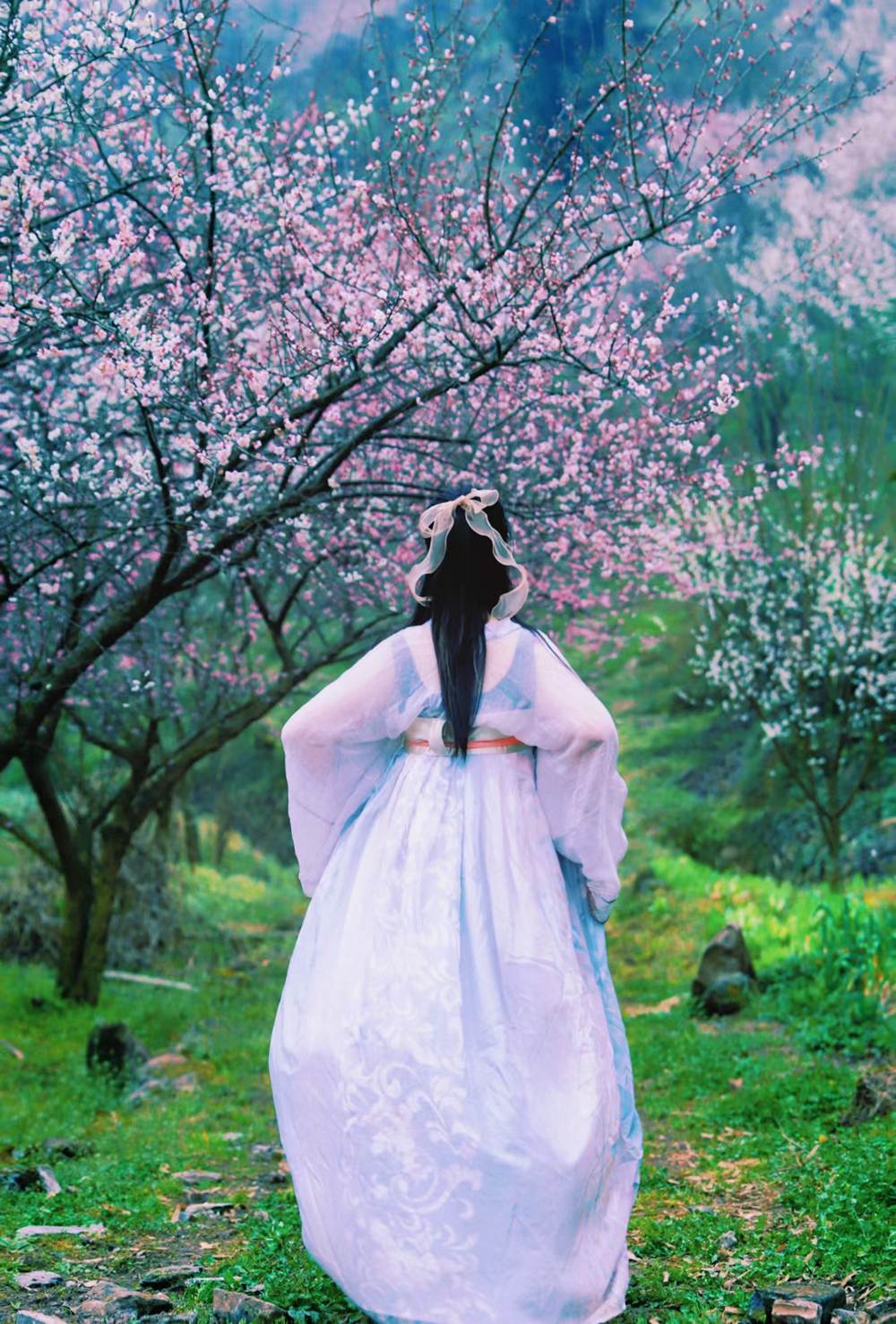 春天花事·天车坡梅林花海+药师岩摩崖石刻