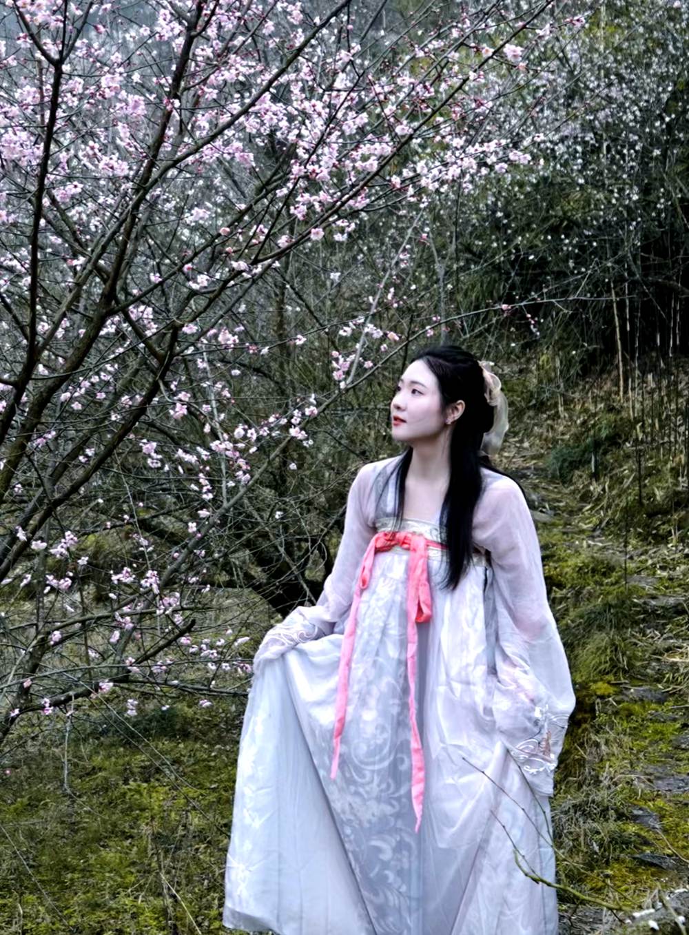 春天花事·天车坡梅林花海+药师岩摩崖石刻