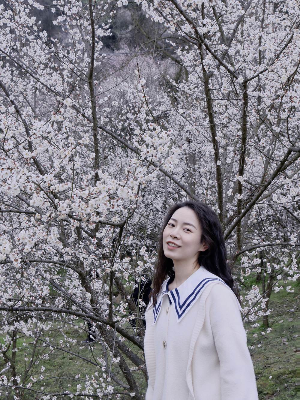 春天花事·天车坡梅林花海+药师岩摩崖石刻