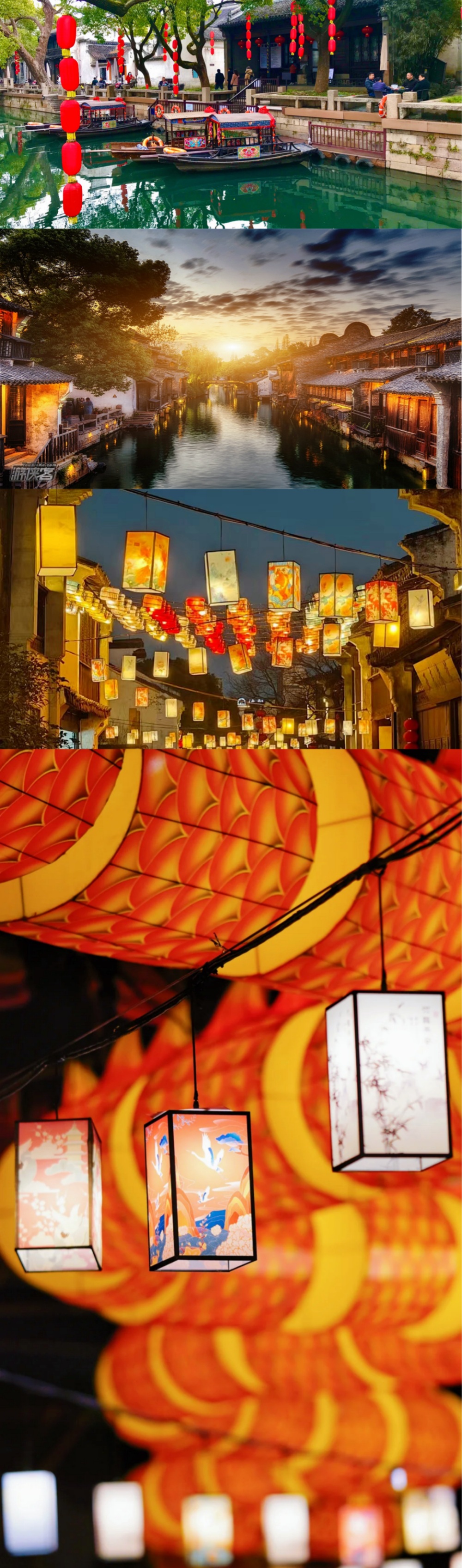 亲子·鼋头渚樱花丨三月奇遇双花,万株樱花片成海