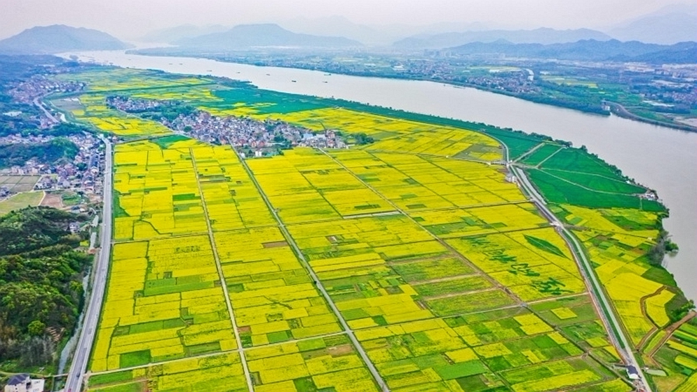 亲子·地心探洞丨清明双洞奇遇探险，油菜花海踏春~