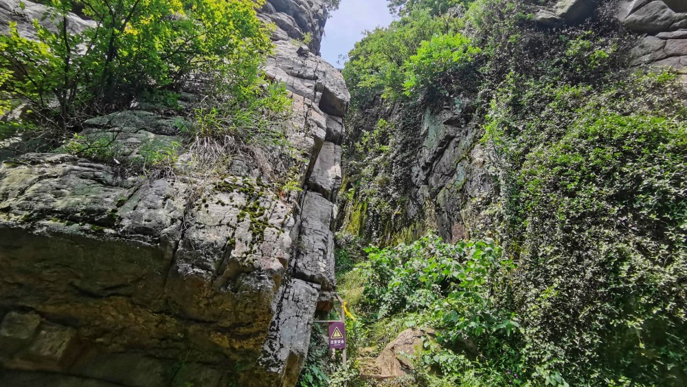 疾速追山·虞山大环，超多绿荫覆盖，六上六下