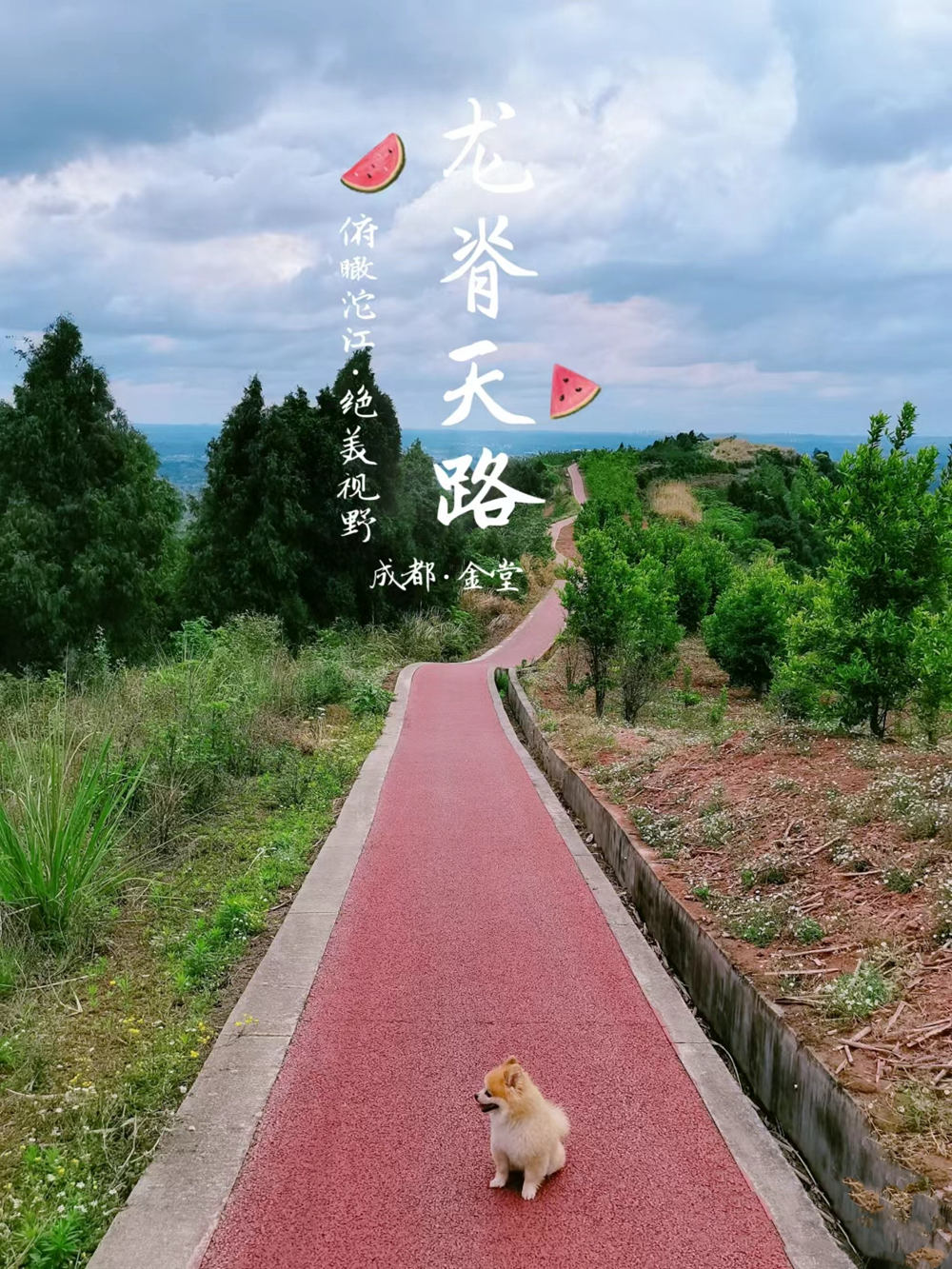 握爪联盟·凤溪桃林｜山脊步道 无台阶！ - <宠物团>金堂五凤溪龙脊天路·往返6km左右，全山脊塑胶道，无阶梯，适合带狗狗徒步