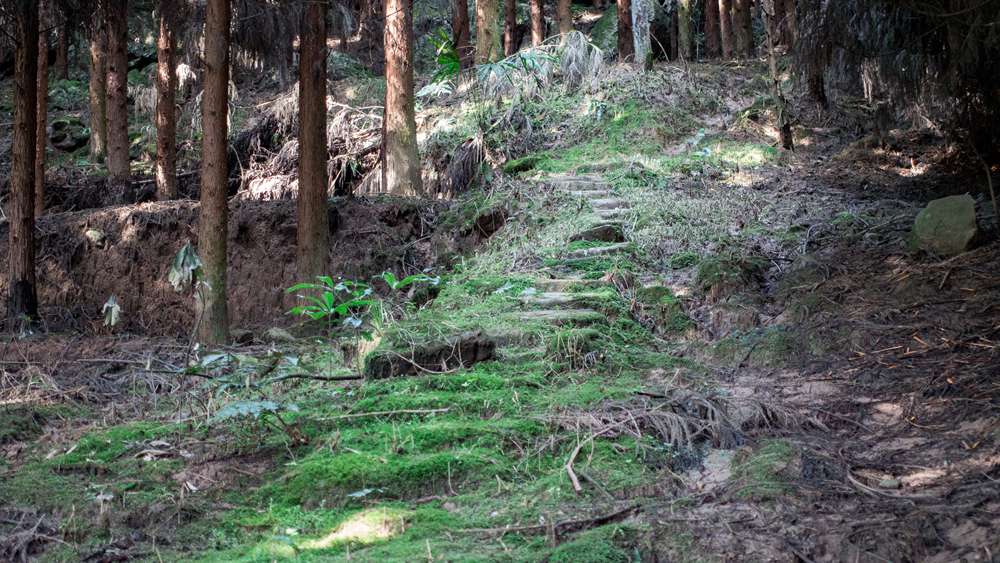 开路先锋·风洞岩茶马古道 古道寻幽 丛林漫步