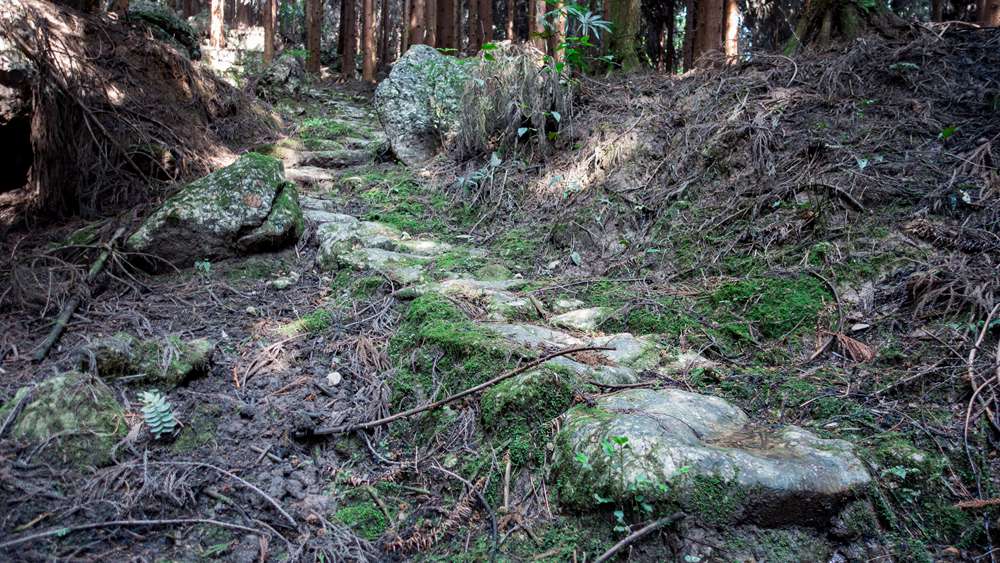 开路先锋·风洞岩茶马古道 古道寻幽 丛林漫步