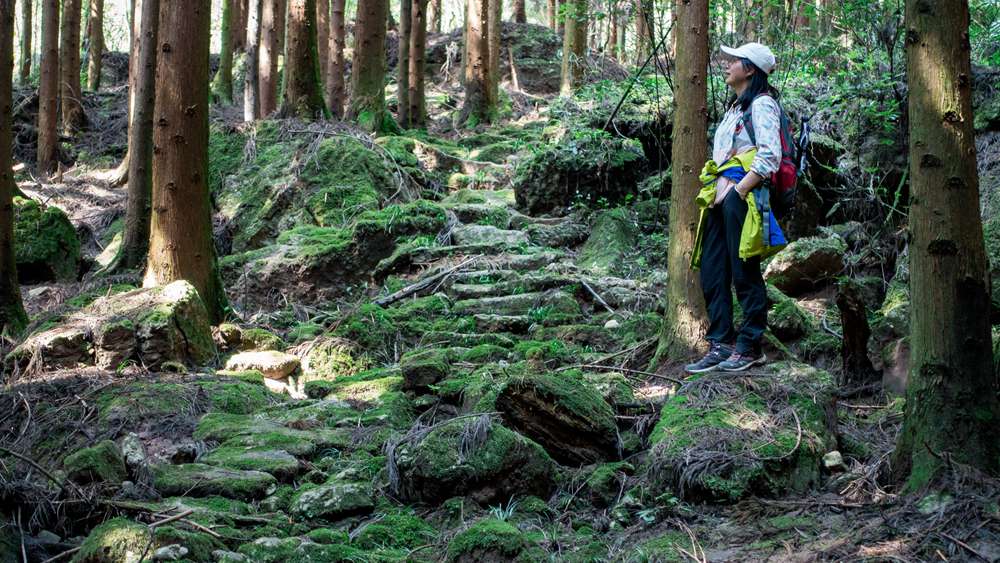 开路先锋·风洞岩茶马古道 古道寻幽 丛林漫步