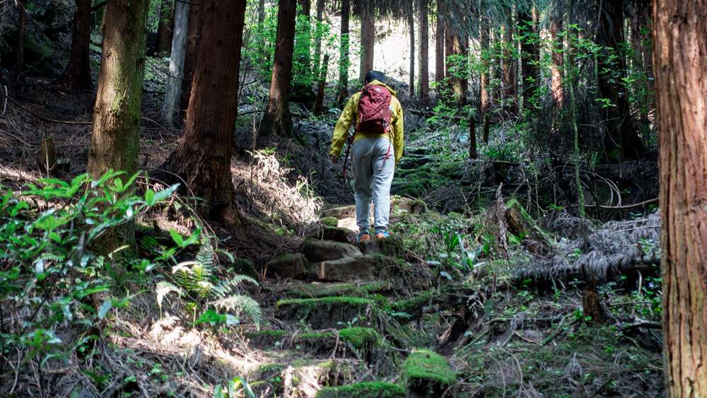 开路先锋·风洞岩茶马古道 古道寻幽 丛林漫步