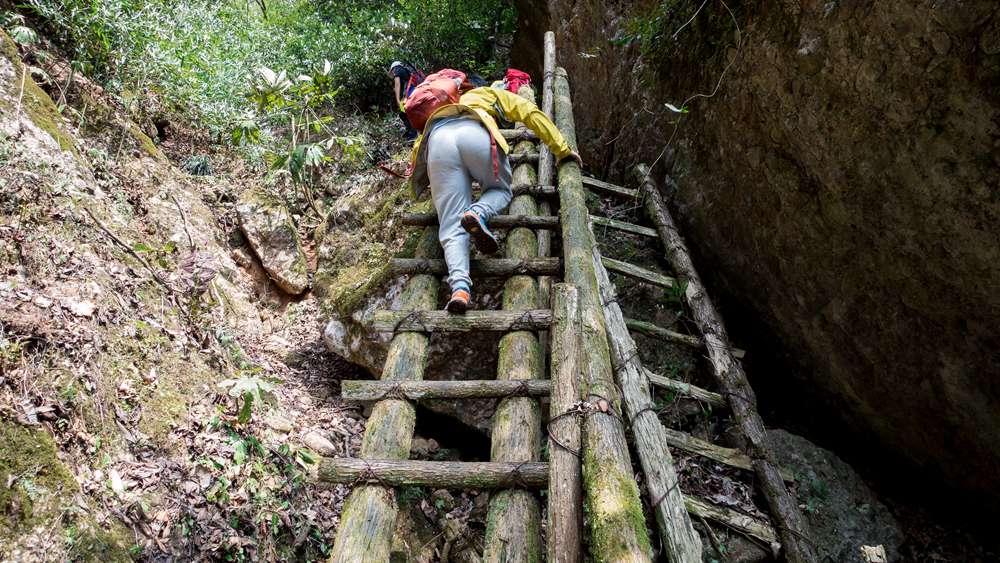 开路先锋·风洞岩茶马古道 古道寻幽 丛林漫步