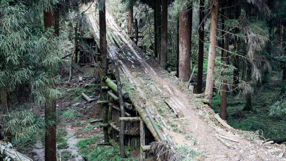 开路先锋·风洞岩茶马古道 古道寻幽 丛林漫步