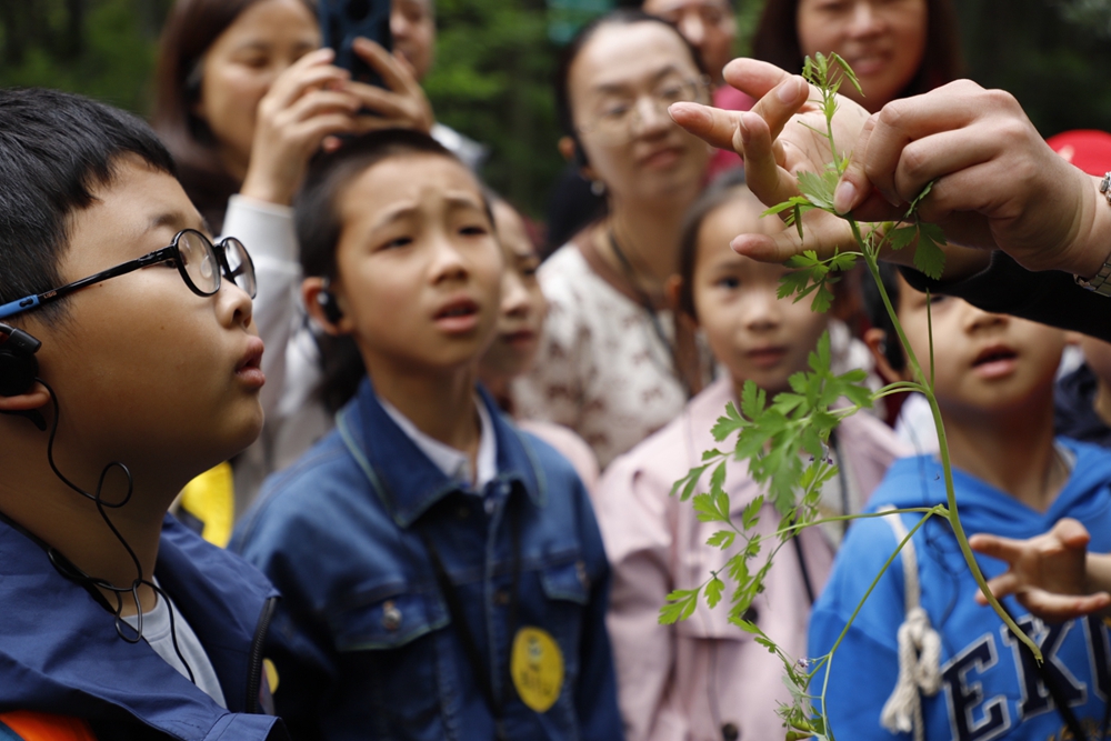游侠研学·上海植物园 | 跟着导师来场植物大科普