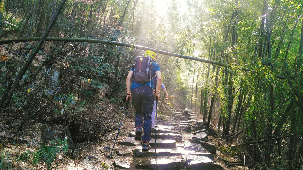 疾速追山·宜兴龙脊，穿越宜兴竹海，登顶苏南最高峰