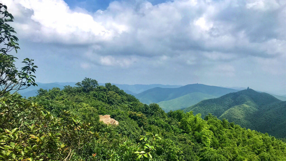 疾速追山·宜兴龙脊，穿越宜兴竹海，登顶苏南最高峰