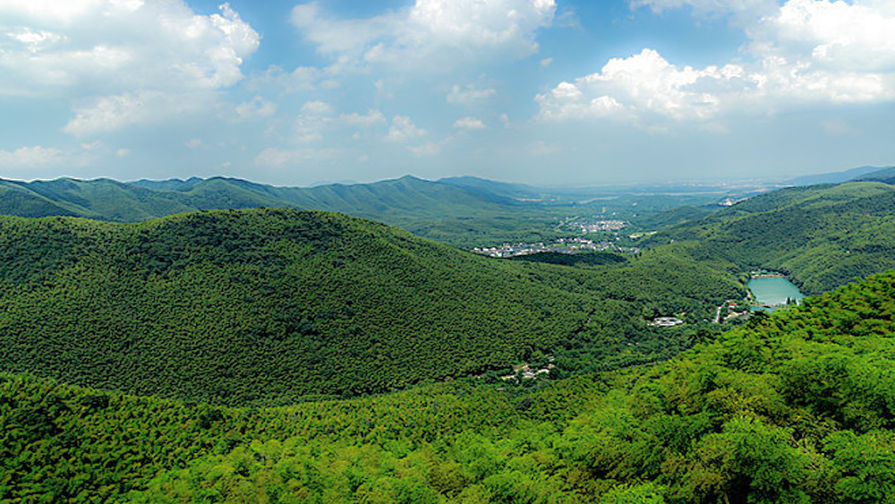 疾速追山·宜兴龙脊，穿越宜兴竹海，登顶苏南最高峰