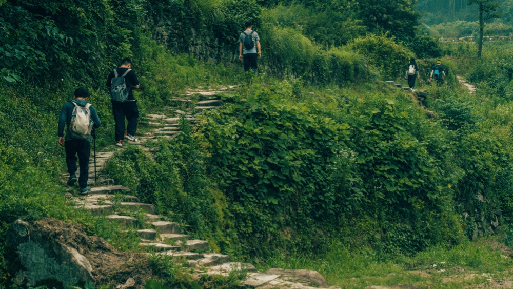 宝山出发·石门龙潭|双古道双瀑布,好事成双